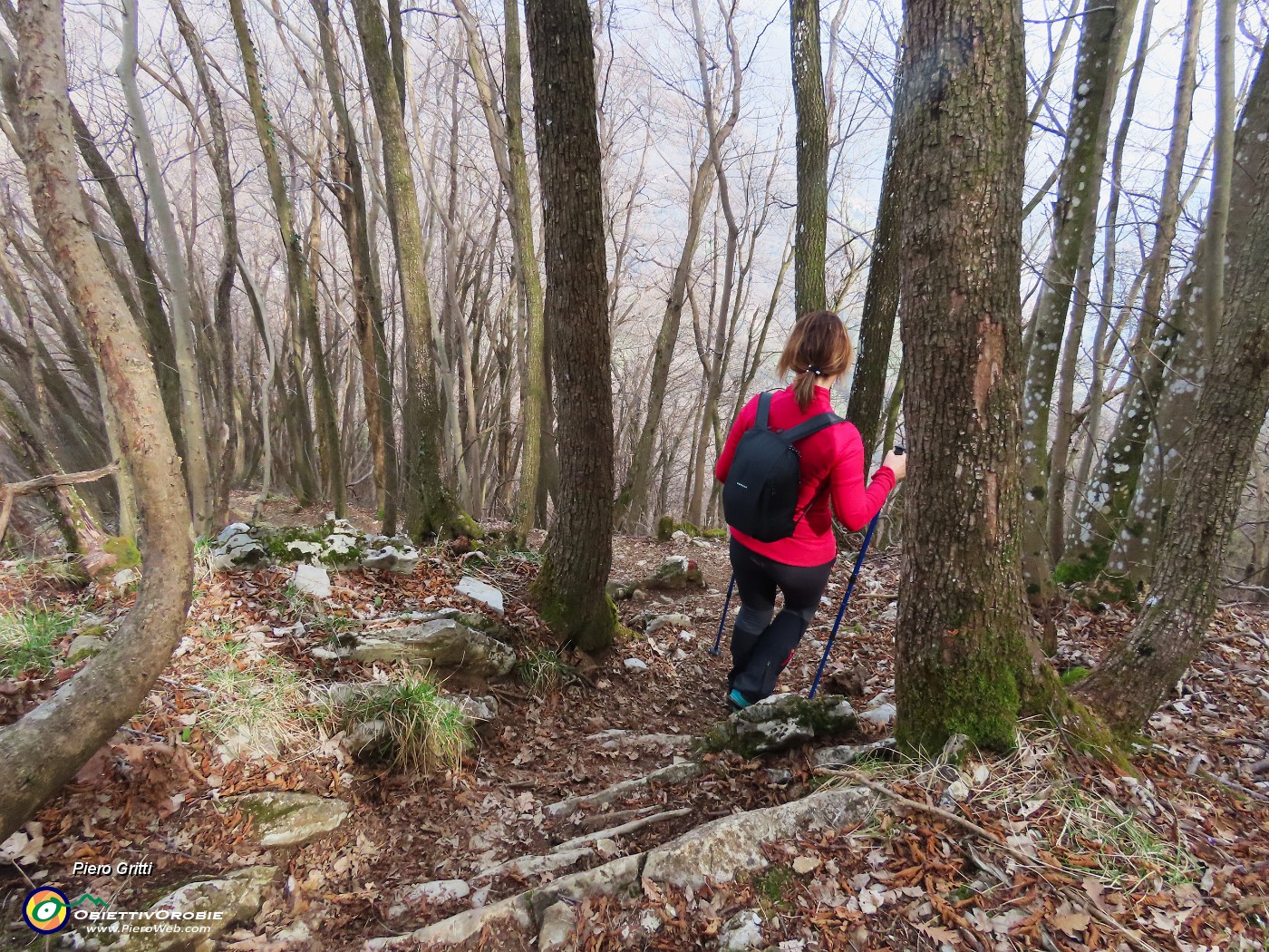 66 Scendiamo al Roccolo della Passata dal ripido sentiero 571.JPG